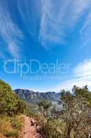 Mountain hiking dirt trail with copy space, green plants and paragliders gliding over a city. Landscape view of a scenic path to Twelve Apostles in Cape Town with blue sky from a nature reserve
