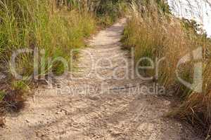 Scenic hiking trail through grassland along a mountain. Closeup of a rugged and sandy path in nature to explore during a walk in the fresh air outdoors. Remote and quiet landscape in the wilderness