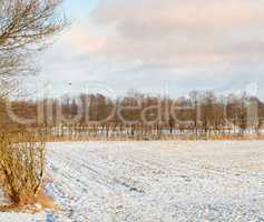Straw and hay farm land covered in snow with a cloudy sky on a cold winter day. The landscape of snowy cultivated nature on an overcast afternoon. Beautiful view of rost covering a dry field