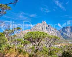 Copy space with a scenic landscape view of Table Mountain in Cape Town, South Africa against a blue sky background with trees and plants. Beautiful panoramic of an iconic landmark and natural wonder