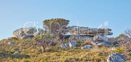 Natural landscape view of boulders and wilderness in nature. Rocky, grassy terrain on a peak of a mountain surrounded by a clear big blue sky on a sunny day. Trees, rocks and grass in the outdoors.