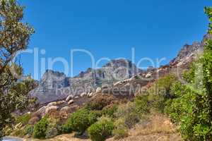 Twelve Apostles at Table Mountain in Cape Town against a blue sky background with copy space. Beautiful view of plants and shrubs growing around a majestic rocky valley and scenic landmark in nature