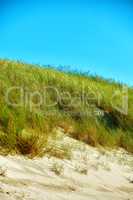 Copyspace with grass growing on an empty beach or dune against a blue sky background. Scenic seaside to explore for travel and tourism. Sandy landscape on west coast of Jutland in Loekken Denmark