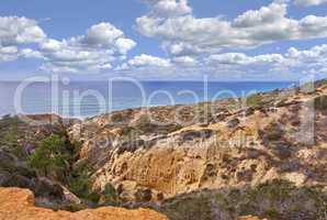 Torrey Pines State and Beach Park - San Diego, California, USA. The beautiful Torrey Pines Park, San Diego, California.