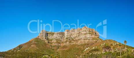 Landscape of a mountain peak in Cape Town, South Africa. Rugged mountaintop with green shrubs, grass, trees and a blue sky. A popular tourist attraction and adventure hiking trail near table mountain