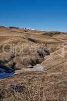 Dry arid reeds on swamp of empty marshland in Bodo, Norway against a blue sky background with copyspace. Rural and remote landscape with uncultivated ground. Arid and barren shrubs in the wilderness