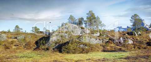 Lush rocky wilderness with wild trees and grass against a blue sky copy space background. Peaceful scenic landscape of empty natural woodland to travel and explore in the countryside of Bodo, Noway