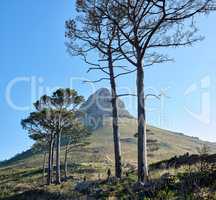 Photo of Lions Head, Cape Town. A photo of Lions Head and surroundings. Cape Town, Western Cape, South Africa..