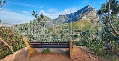 Bench with relaxing, soothing views at the top of table Mountain with a scene of Lions Head against a blue sky. Lush green trees and bushes surrounding a quiet spot to rest and view beauty in nature
