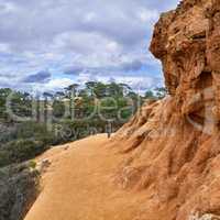 Torrey Pines State and Beach Park - San Diego, California, USA. The beautiful Torrey Pines Park, San Diego, California.