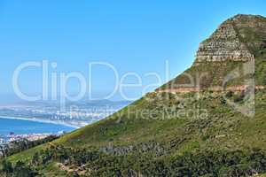 Landscape of Lions Head mountain on a clear blue sky with copy space. Mountain peak with rolling hills and the ocean in a green environment. Popular tourism hiking location in Cape Town, South Africa