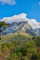 Clouds on the top of Table Mountain national park in Cape Town. Rocky terrain on a sunny day with cloudy sky, peaceful nature in harmony with soothing views of plants and landscape