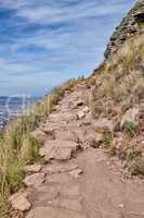 Trail on Table Mountain with vibrant, beautiful nature along a path. Trees and lush green bushes growing in harmony. Peaceful soothing fresh air with stunning views of natural landscape