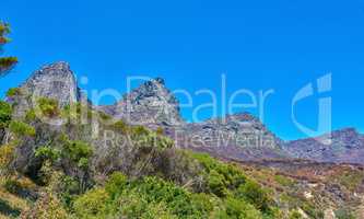 Plants and trees in nature with a mountain background against blue sky in summer. Scenic popular natural landmark and tourist attraction for adventure while on a getaway vacation with copyspace