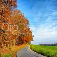 An empty road surrounded by autumn trees with a blue sky and copy space. Landscape with a single countryside asphalt roadway for traveling along a beautiful scenic meadow or grassland in Germany