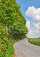 Road between trees and a meadow in spring with a cloudy blue sky. Countryside street or avenue winding through a beautiful empty forest green grass land. A scenic nature path for traveling or hiking