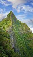 Photos of Oahu jungle - Hawaii. Images from Oahu - The state of Hawaii..