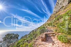 Trail on rocky landscape on Table Mountain in sunny Cape Town, South Africa. Lush green trees and bushes growing against a blue sky background. Relaxing, soothing views from a mountain peak