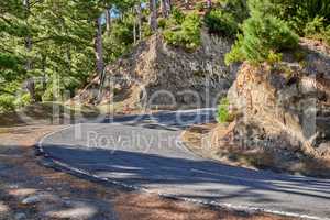 Curving road or street along a steep mountain valley. Winding pathway with sharp curve going up the hill with trees on both sides of the trail on a sunny day. Paths of pure adventure. Pine woodland.