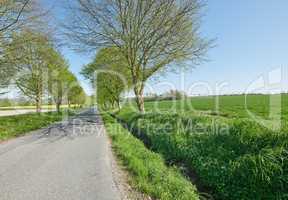 Open road near beautiful bright green grass land and trees on a summer day. The vibrant landscape of an asphalt roadway through fresh pasture and meadow outdoors in nature on a spring afternoon