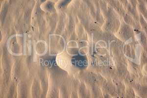 Closeup of sand texture on a beach in summer as background. Brown desert pattern from tropical beach. Desert sand dunes texture. Rippled shore with tiny stones