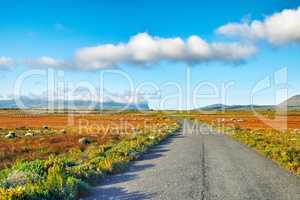 The wilderness of Cape Point National Park. The wilderness of Cape Point National Park, Western Cape, South Africa.