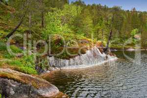 A lake shore near a Greenwood. A landscape of a hiking destination. A serene hills river and woodlands in spring. Deep and dense rainforest vegetation with pond and beautiful sunlight. Hiking spot.