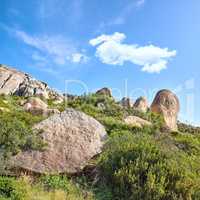 Many rocks in between bushes on a blue cloud sky with copy space. Wild nature landscape of large stones with plants, grass, and uncultivated shrubs growing on rolling hills in an eco environment