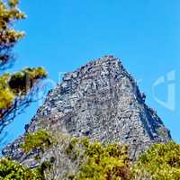 Twelve Apostles at Table Mountain in Cape Town against a blue sky background from below. Breathtaking view of plants and trees growing around a majestic rocky valley and scenic landmark in nature