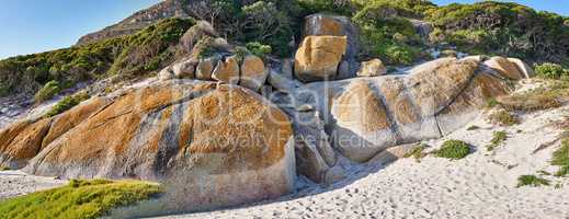 Boulders on the rocky coast of Western Cape, South Africa, Landscape view of a beautiful beach and seashore in Cape Town. The natural seaside environment in a popular tourist location for a holiday