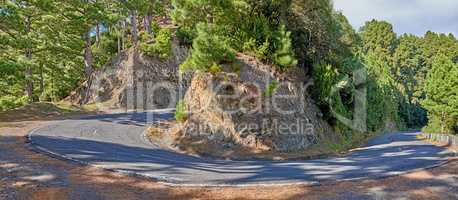 A curvy road up a mountain with green plants on a sunny summer day. A beautiful lush landscape of a tarred roadway near nature or foilage for a peaceful and scenic travel view