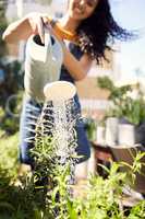 Nurture it and watch it turn into something beautiful. a young female florist watering plants at work.