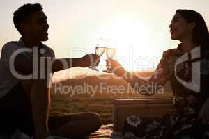 Heres a toast to love. a young couple making a toast while on a picnic.