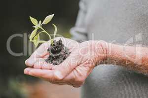 My retirement fund is in the green. a group of unrecognisable senior man holding a plant growing out of soil.