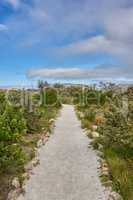 Isolated hiking trail in a natural landscape perfect for walking outside. Beautiful nature view with green grass, plants, and a blue sky background. Relaxing day outdoors in summer near a mountain.