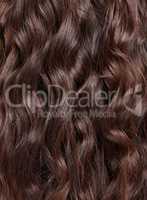 Never let anyone dull your curls. Closeup shot of long curly brunette hair.