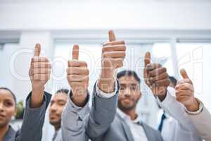Tell us we cant and well show you we can. a group of businesspeople showing thumbs up.