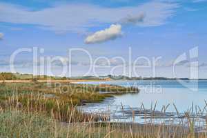 Landscape of sea, lake or coast against sky background with clouds and copy space. Swamp with reeds and wild grass growing at an empty lake outside. Peaceful, calm and beautiful scenic view in nature