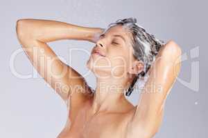 Squeaky clean freshness. Studio shot of an attractive young woman washing her hair while taking a shower against a grey background.