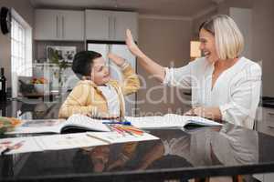 You got that so quickly. a young mother and her son high fiving while home schooling.