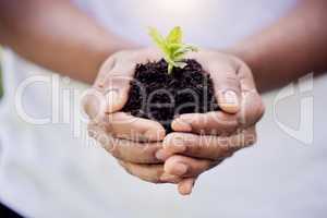 Recycle the way to a better today. an unrecognisable person holding a plant growing out of soil.