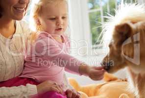 You deserve a treat, pup. a little girl sitting on her mothers lap while feeding their puppy.