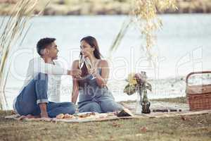 Cheers to our little adventure through love. a young couple sitting together and toasting with glasses of champagne during a picnic date.