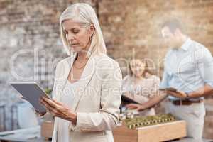 Mature female architect using a tablet to analyze designs in a modern office. Senior business woman with a blurred background of a young architectural team working together on a building model.