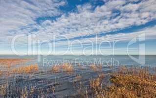 Sea, ocean or beach coast with brown grass and beautiful open view of clouds in a blue sky background and copy space. Cloudy landscape of the horizon in the morning and a dry turf shore in dark water
