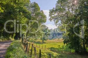 Landscape view, countryside dirt road and path leading to agriculture fields or farm pasture in a remote area location. Scenery of quiet, lush green farming meadows and trees along a trail in France