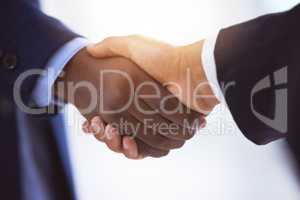 Repose my fair pretender, I am a rare defender. two unrecognizable businessmen shaking hands against a blurry white background.