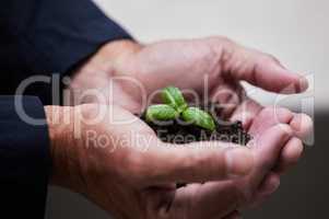 An optimist sees the opportunity in every difficulty. an unrecognizable businessman holding a plant at the office.