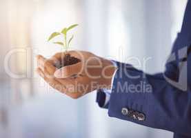 For once, never wonder what theyre worth. .Shot of an unrecognizable businessman holding a plant growing out of soil.