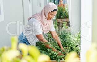 Gardening is a hobby of mine. an attractive young woman standing outside and gardening during the day.